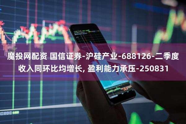 魔投网配资 国信证券-沪硅产业-688126-二季度收入同环比均增长, 盈利能力承压-250831
