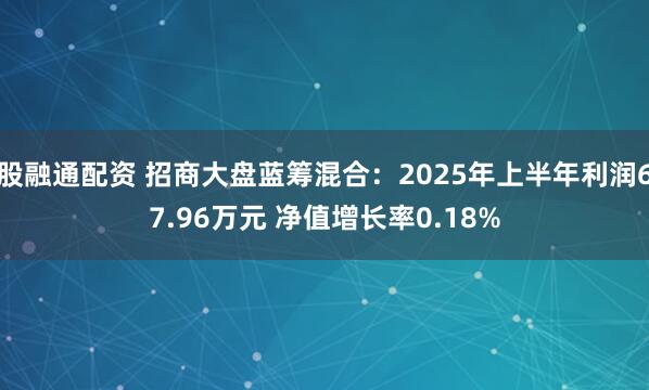 股融通配资 招商大盘蓝筹混合：2025年上半年利润67.96万元 净值增长率0.18%
