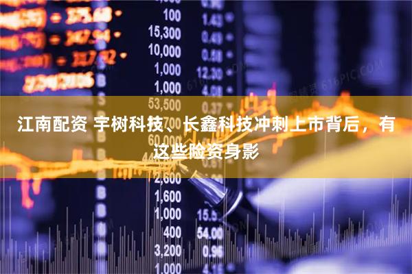 江南配资 宇树科技、长鑫科技冲刺上市背后,有这些险资身影